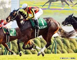 ショウナンアデラが引退 繁殖入り 17年4月日 エキサイトニュース