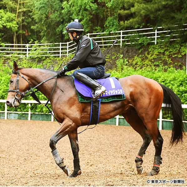 日本ダービー 少牌住職の前後際断 仏予想 19年5月24日 エキサイトニュース 日本ダービー 少牌住職の前後際断 仏予想 19年5月24日 エキサイトニュース