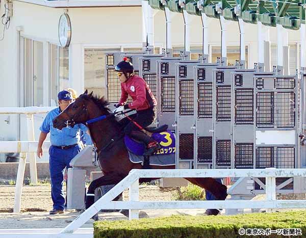 日本ダービー あるぞ スピード持続力に秀でた皐月賞２着馬ヴェロックスの逆転 19年5月24日 エキサイトニュース