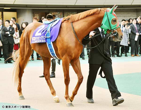 海外競馬 ハッピーグリンの香港ｇi挑戦に続く馬を期待 19年5月30日 エキサイトニュース