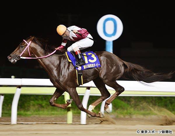 血統調査 東京ダービー制覇ヒカリオーソの中央活躍に期待 近親にライデンリーダー 19年6月13日 エキサイトニュース