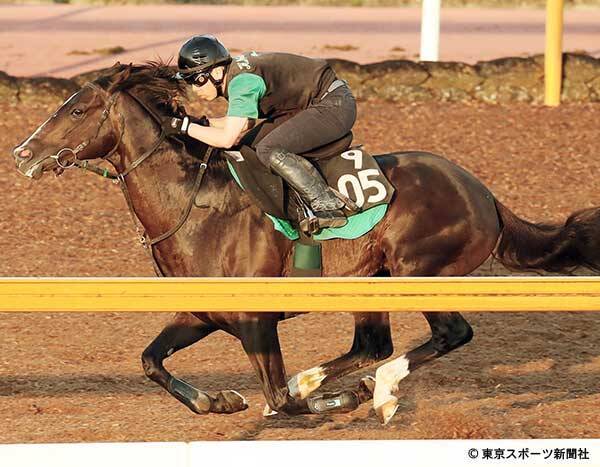 ラジオｎｉｋｋｅｉ賞 ブレイキングドーン ウッド６ハロン７９ １秒の好時計 立ち回り次第でいい競馬ができる 19年6月26日 エキサイトニュース