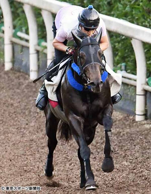 ｃｂｃ賞 レッドアンシェル 坂路ラスト１２ ０秒 雨馬場も心配ないタイプ 2019年6月26日 エキサイトニュース