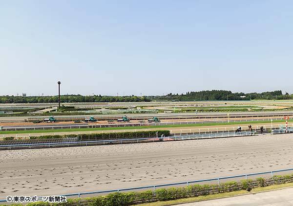 美浦トレセン大規模改修工事で関東馬に試練の幕が 19年6月27日 エキサイトニュース