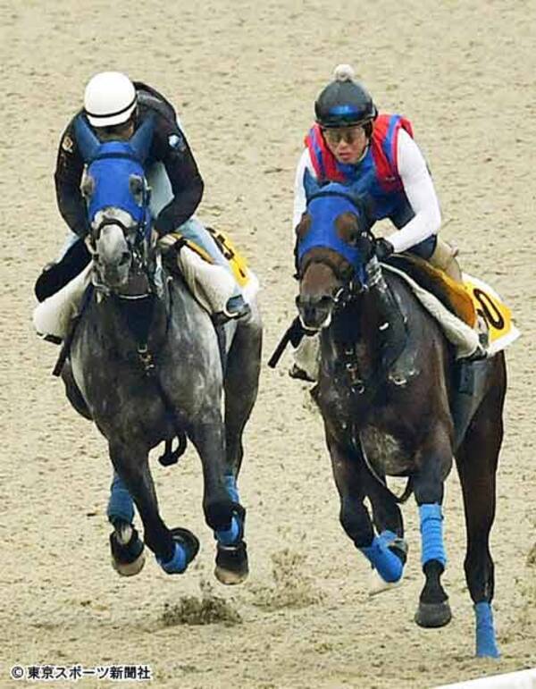 七夕賞 ソールインパクト 馬なりで併入 レースが流れれば二千は問題ない 19年7月3日 エキサイトニュース