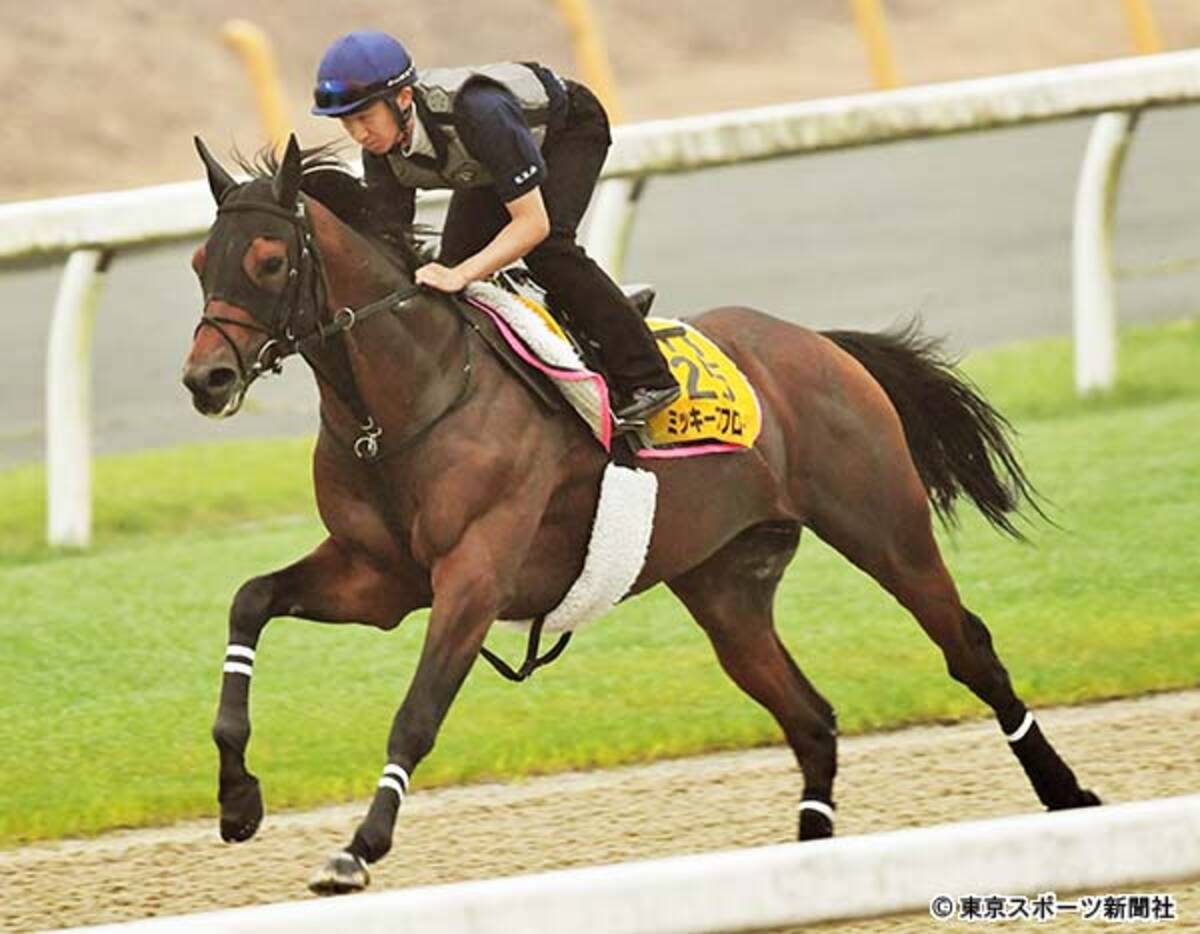 七夕賞 ミッキースワロー ラスト１１ ９秒に久々騎乗の菊沢 改めていい馬だと感じた 19年7月3日 エキサイトニュース