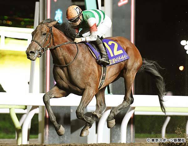 ジャパンダートダービー １番人気クリソベリルが圧勝 クリソライトに続き親子制覇 19年7月10日 エキサイトニュース