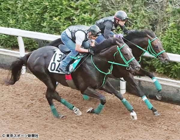 小倉記念 タニノフランケル 活気十分のフットワークで併入 中間も順調 19年7月31日 エキサイトニュース 小倉記念 タニノフランケル 活気十分のフットワークで併入 中間も順調 19年7月31日 エキサイトニュース