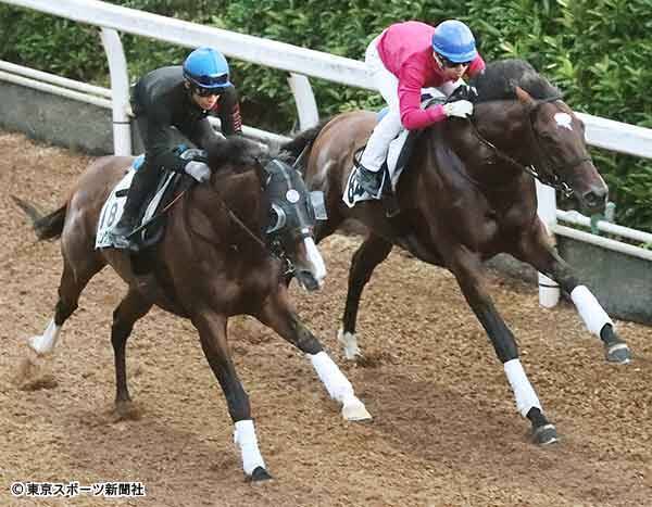 小倉記念 ストロングタイタン 坂路ラスト11 9秒で併入 立ち回りひとつ 19年7月31日 エキサイトニュース 小倉記念 ストロングタイタン 坂路ラスト11 9秒で併入 立ち回りひとつ 19年7月31日 エキサイトニュース