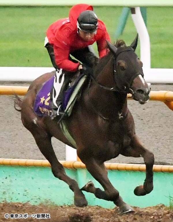 キーンランドｃ セイウンコウセイ 軽快なフットワーク 週末の雨予報は歓迎 19年8月21日 エキサイトニュース