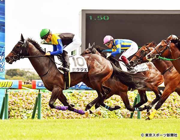 新馬勝ち２歳総点検 中山 ルージュバックの半弟ポタジェ 成長力は十分 19年10月1日 エキサイトニュース