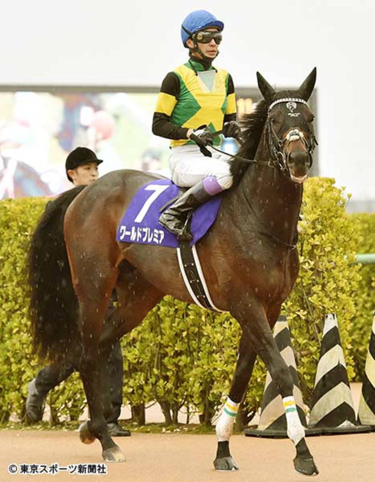有馬記念 後記 ３着ワールドプレミア 来年上半期の目標は天皇賞 春 2019年12月23日 エキサイトニュース
