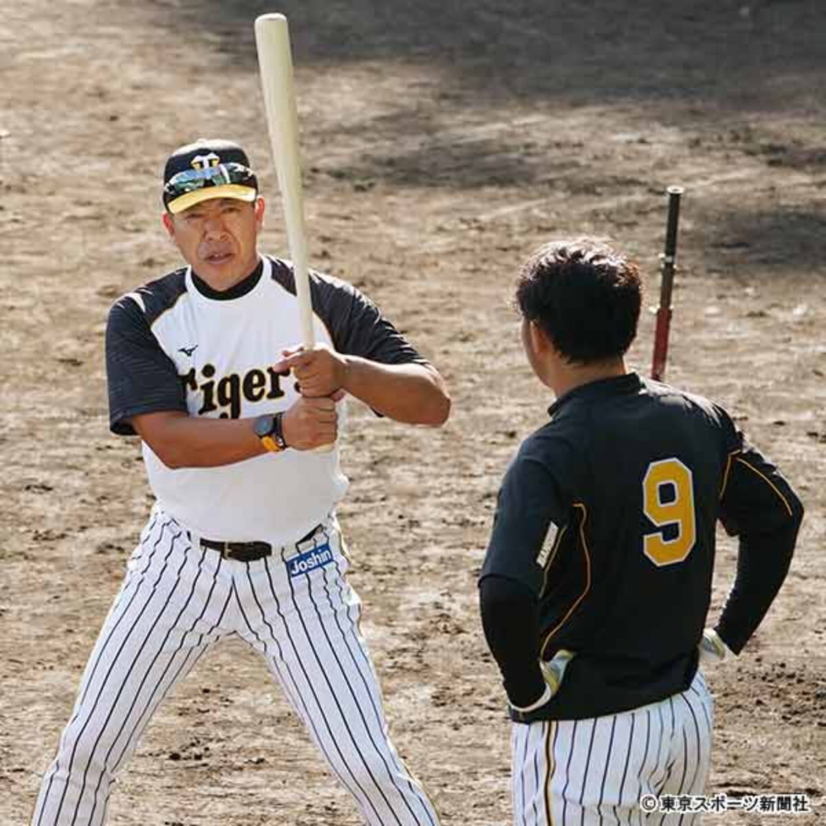 本紙評論家 伊勢氏が指摘 阪神ドラゴンズでもいいじゃないか 2020年1月14日 エキサイトニュース