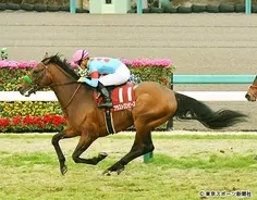 アメリカｊｃｃ 後記 貫禄勝ちブラストワンピースは再びｇi戦線の主役となり得るか 年1月27日 エキサイトニュース