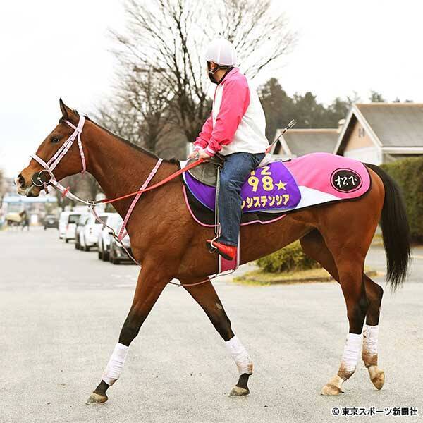 【チューリップ賞】2歳女王レシステンシアの粗探しは無用! 4 ...