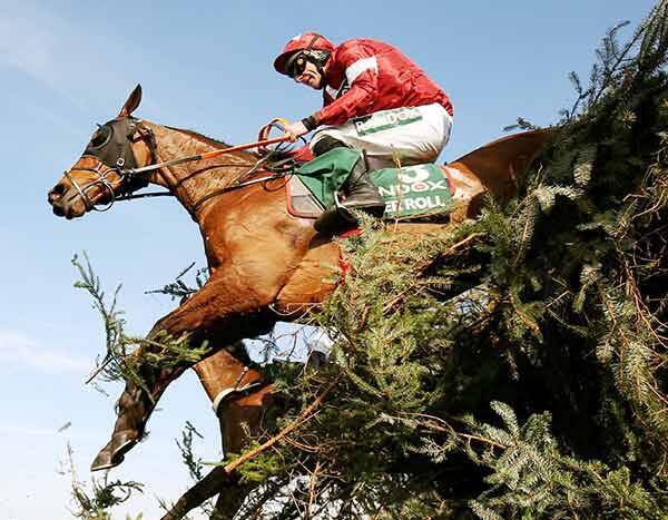 海外競馬 世界最大の障害レース グランドナショナル 中止 年3月18日 エキサイトニュース