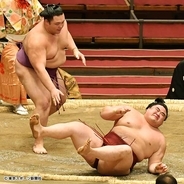 【大相撲春場所】朝乃山１０勝目　大関昇進のハードル下がる！？