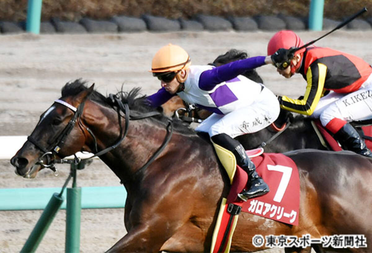 スプリングｓ 後記 重賞初ｖガロアクリーク 落ち着きが出てきた今なら二千でも 年3月23日 エキサイトニュース