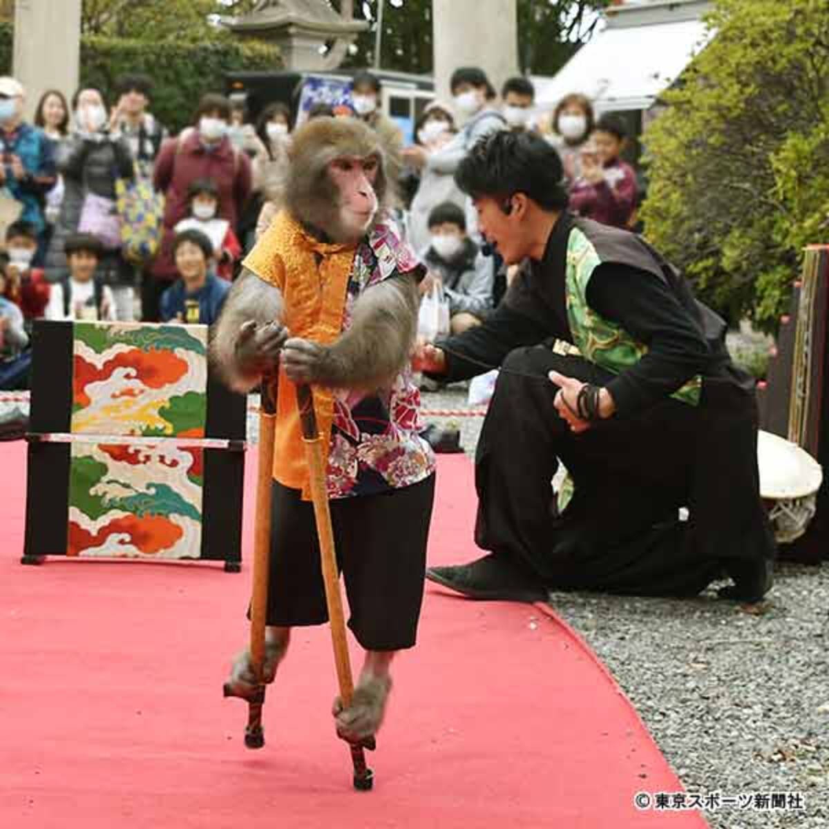 桜の名所 大阪城公園は若者チラホラの中 健気な 猿回し 年3月30日 エキサイトニュース