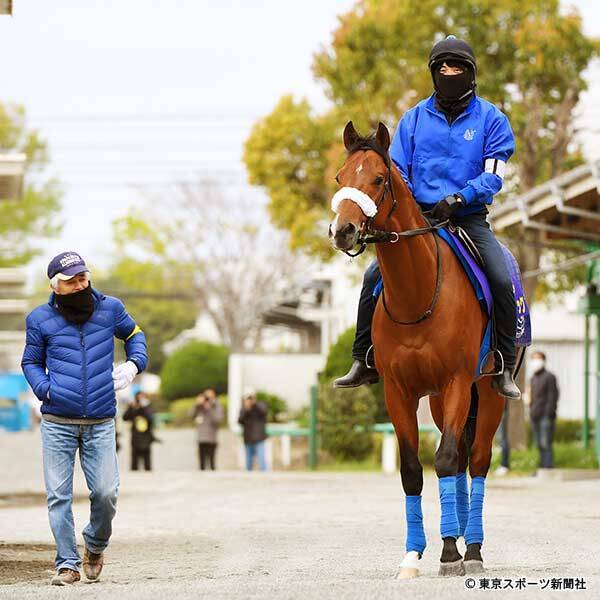 皐月賞 弥生賞覇者サトノフラッグ 稽古後すぐスイッチが切り替わって落ち着くあたりはアーモンドアイと一緒 年4月16日 エキサイトニュース