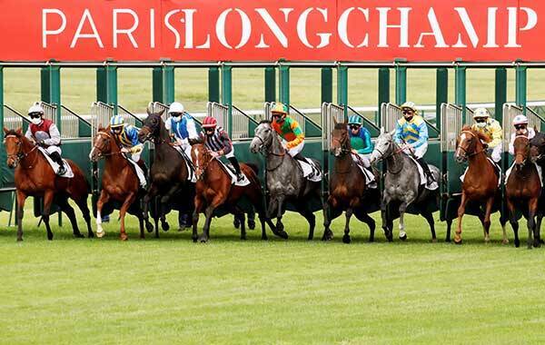 海外競馬 動き始めた欧州の競馬 ドイツ フランスが無観客で施行 年5月14日 エキサイトニュース