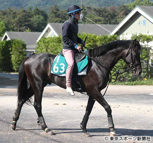 ｐｏｇ 阪神６日芝外千六で初陣のバゴ産駒ステラヴェローチェ 須貝調教師 ダービーを目標にできる 年6月3日 エキサイトニュース