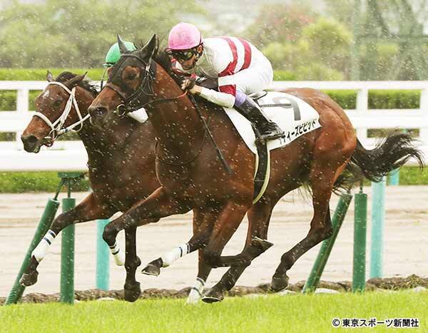 ２歳新馬戦 阪神 キズナ産駒ダディーズビビッド差し切り 武豊 能力だけで勝った感じ 年6月8日 エキサイトニュース
