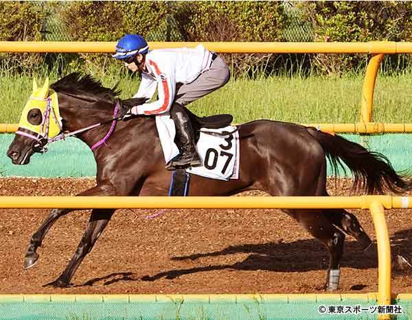 函館スプリントｓ エイティーンガール 余力十分にウッドラスト１２ ９秒に坂井 イメージ通りの追い切り 年6月17日 エキサイトニュース