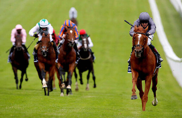 海外競馬 英ダービー 人馬一体の痛快 下剋上劇 年7月8日 エキサイトニュース