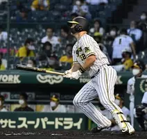 阪神が新外国人 サンズ獲得へ 韓国リーグ経由 今度こそ大丈夫か 19年12月18日 エキサイトニュース