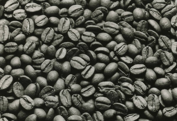 コーヒー豆くりぬきコカイン密輸 なぜバレた アダとなった 遊び心 年7月21日 エキサイトニュース