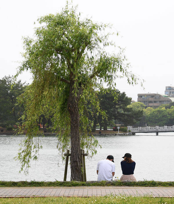 福岡の街中にイノシシ出現の謎 地元住民 元寇の石塁必要かも 年8月6日 エキサイトニュース