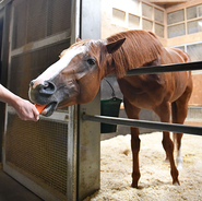 逮捕 尿かけ男 がわざわざペットボトルを用いたワケは 2020年8月19日 エキサイトニュース