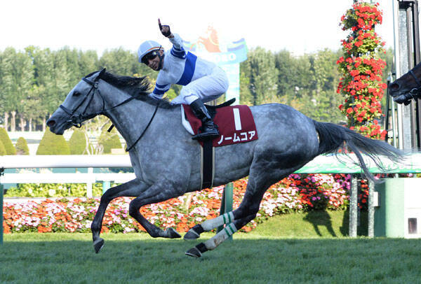 ｇ 札幌記念 秋ｇｉも牝馬 ノームコアが文句なしの快勝 年8月24日 エキサイトニュース