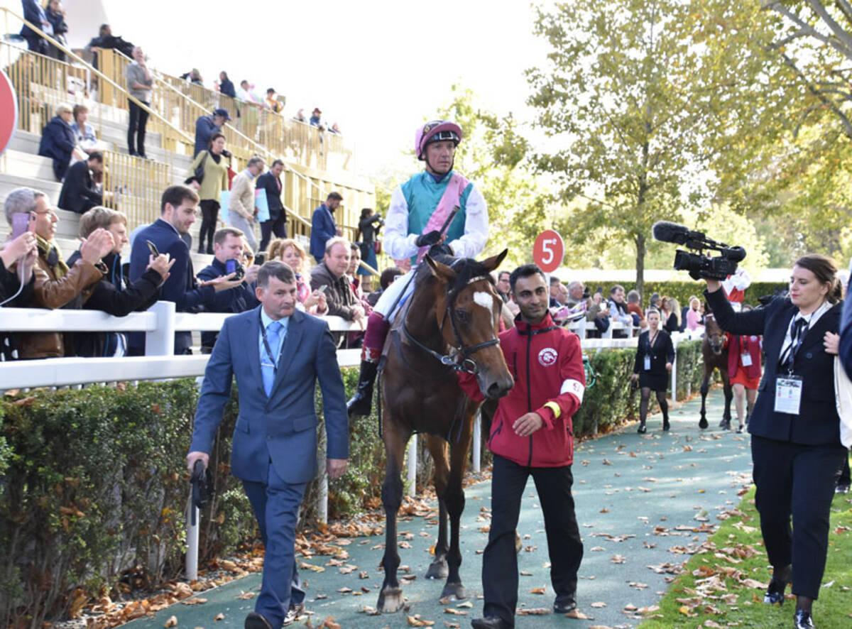 引退エネイブルが繁殖入り 最初の交配相手は 年10月13日 エキサイトニュース
