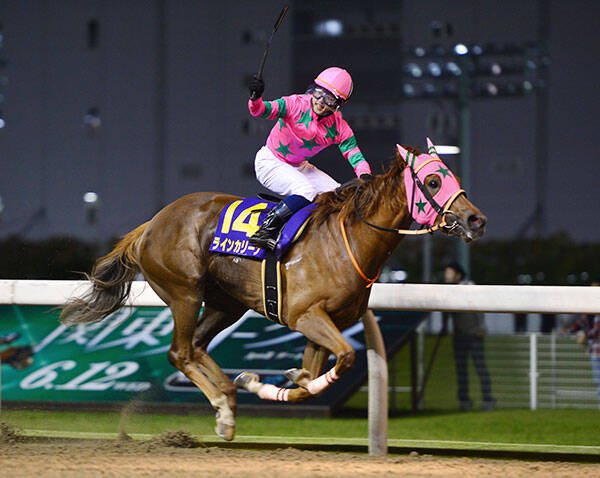 １９年の関東オークス覇者ラインカリーナ抹消 浦和競馬へ 年10月21日 エキサイトニュース