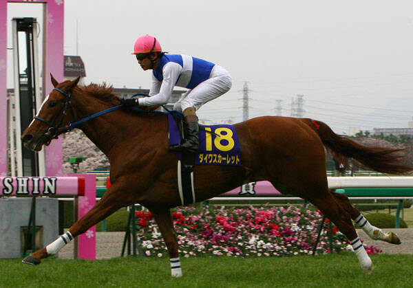 ｊｒａ ダイワスカーレットの子アンブレラデートが新馬勝ち 年10月31日 エキサイトニュース