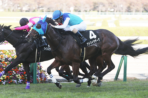２歳新馬戦 阪神 キズナ産駒ダディーズビビッド差し切り 武豊 能力だけで勝った感じ 年6月8日 エキサイトニュース