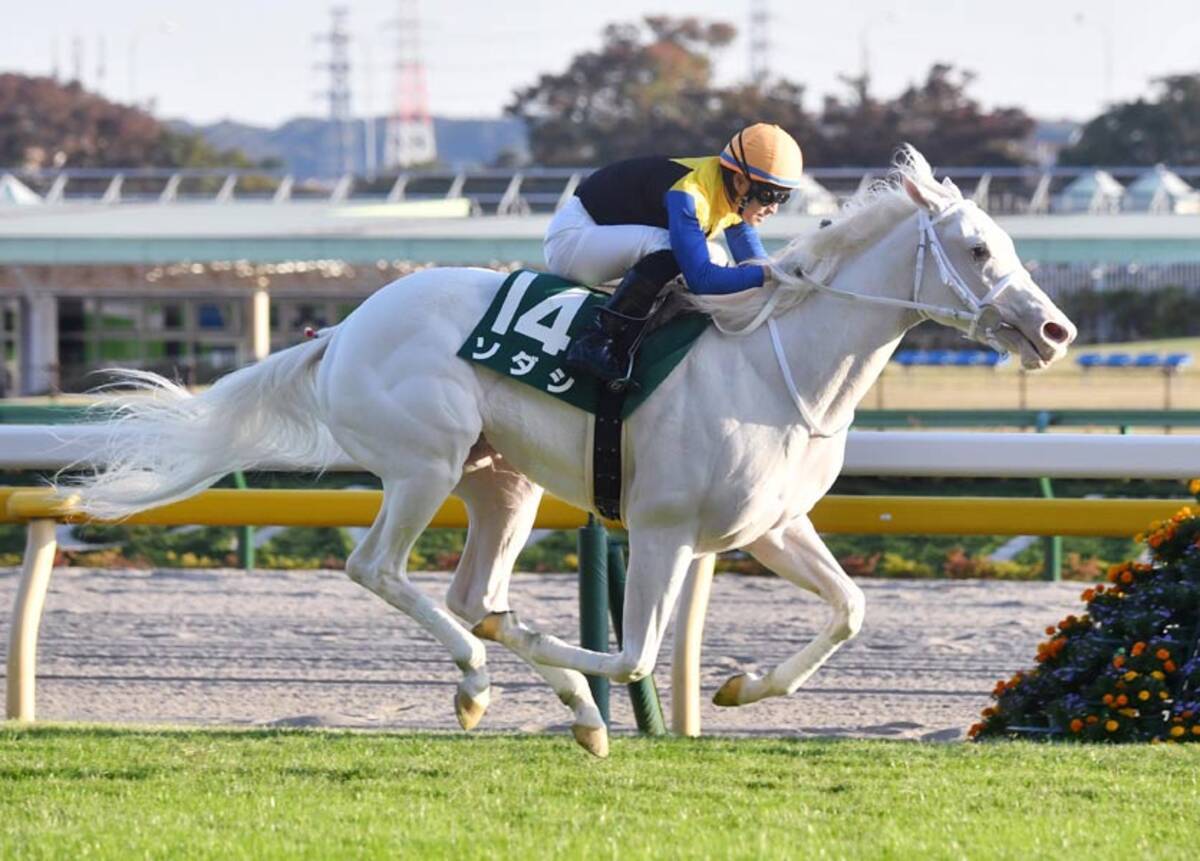 阪神jf ３戦３勝 白毛のソダシちゃん 国民的アイドルへ 年12月7日 エキサイトニュース