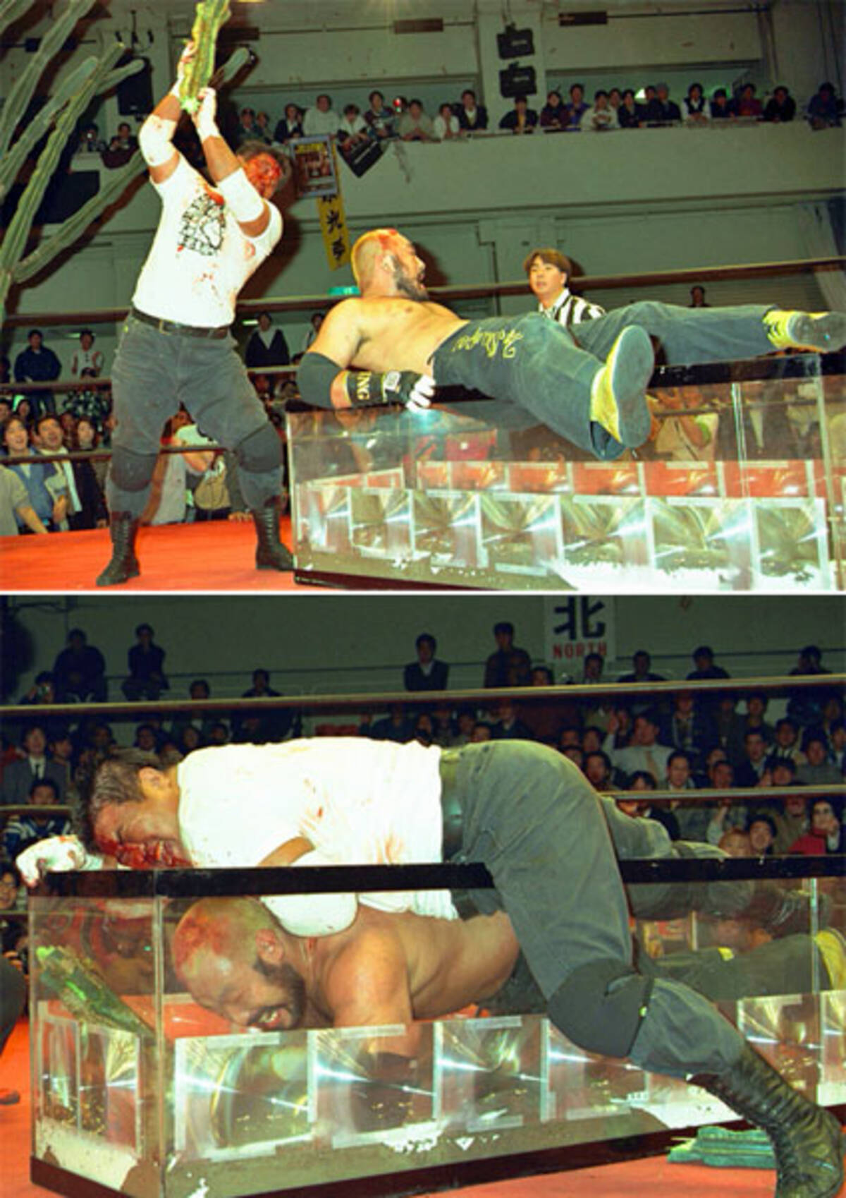 松永光弘 サソリ サボテン デスマッチ しめて3万円 21年1月3日 エキサイトニュース 松永光弘 サソリ サボテン デスマッチ しめて3万円 21年1月3日 エキサイトニュース