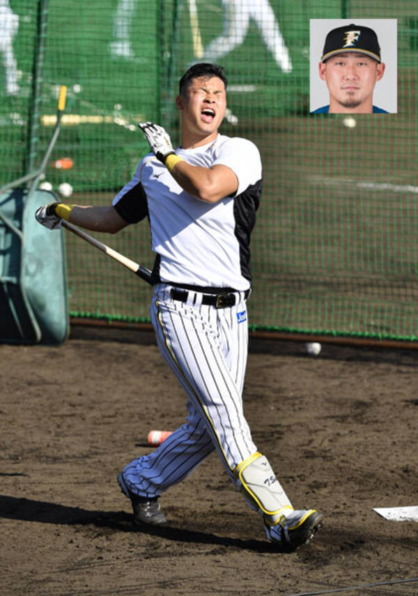 中田翔が証明 阪神ドラ１ 佐藤輝の 下半身 生かす外野コンバート 21年2月2日 エキサイトニュース