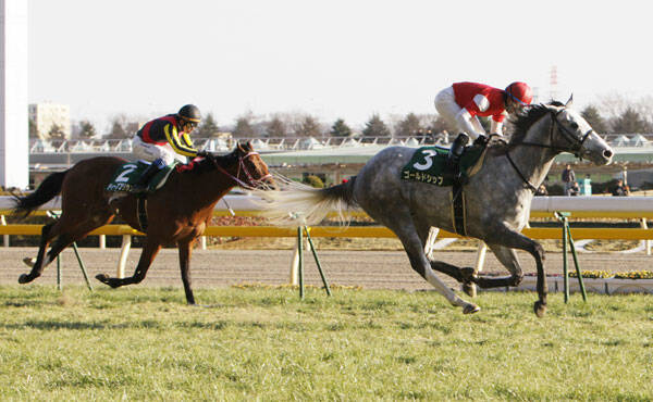 共同通信杯 ゴールドシップが切れ味でライバルを一蹴 ここから始まった規格外の走り 21年2月8日 エキサイトニュース 共同通信杯 ゴールドシップが切れ味でライバルを一蹴 ここから始まった規格外の走り 21年2月8日 エキサイトニュース