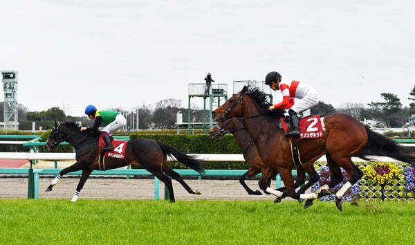 弥生賞 馬匠渡辺 皐月賞はまだダノンザキッドが主役とは思うが 21年3月8日 エキサイトニュース 弥生賞 馬匠渡辺 皐月賞はまだダノンザキッドが主役とは思うが 21年3月8日 エキサイトニュース