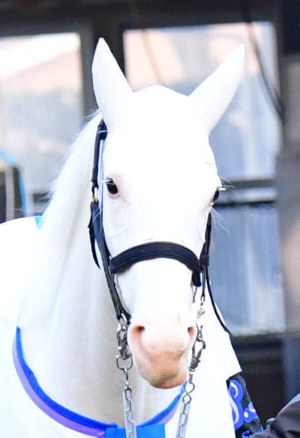 桜花賞 ソダシの鞍上 吉田隼が抱いていた反骨心 なんとか見返してやろうと思っていた 21年4月11日 エキサイトニュース