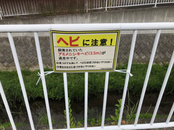 横浜市 逃走中のアミメニシキヘビ 飼い主が語った 最悪のシナリオ 21年5月16日 エキサイトニュース