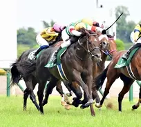 jra 5億円ディープ産駒 リアドがゲート試験に合格 デビューは秋を予定 2021年6月10日 エキサイトニュース