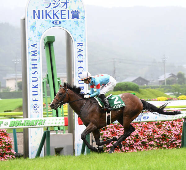 ラジオｎｉｋｋｅｉ賞 キングカメハメハ産駒ヴァイスメテオールが他馬を圧倒 丸山 直線の手応えは楽でした 21年7月4日 エキサイトニュース