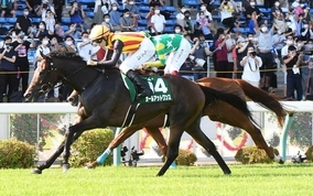 【アイビスＳＤ】新潟直千“金”法則　３歳牝馬オールアットワンスが格上挑戦でＶ