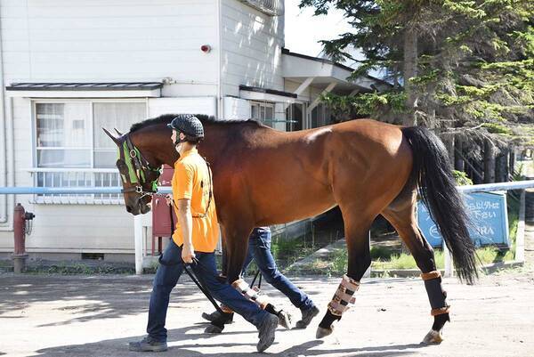 ブラストワンピースが函館競馬場入り ８ ２２札幌記念へ調整 2021年7月29日 エキサイトニュース