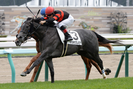 【札幌競馬】２億７０００万円ホースのホウオウプレミアがデビュー勝ち